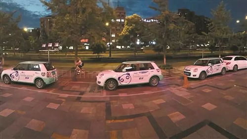 共享汽車變共享車損 25元租車背后的290元賠償爭議